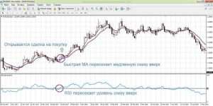 strategii-torgovli-po-dnevnomu-grafiku-na-foreks